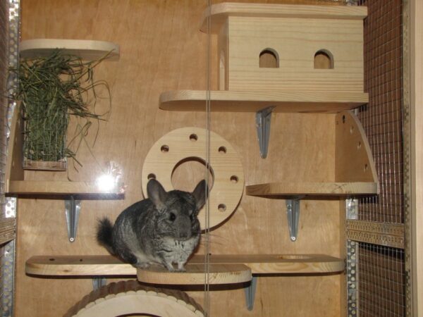 клетка для шиншиллы