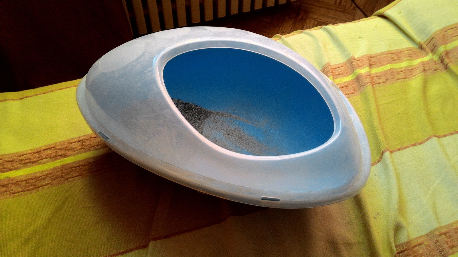 как приучить шиншиллу к туалету