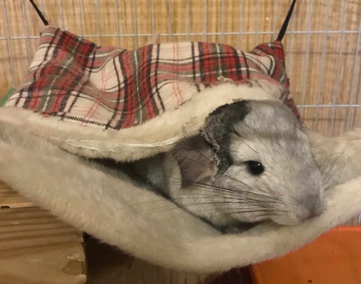 гамак для шиншиллы своими руками