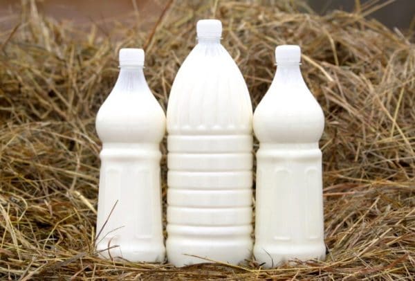 Польза кипяченого козьего молока для детей thumbnail