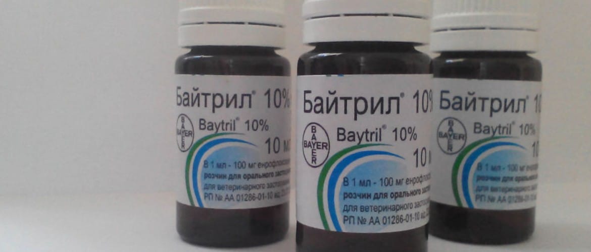 Байтрил инструкция по применению в ветеринарии: для птиц, кроликов ...