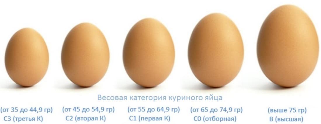 масса отборного яйца куриного. img 5c100f6721b4b. масса отборного яйца куриного фото. масса отборного яйца куриного-img 5c100f6721b4b. картинка масса отборного яйца куриного. картинка img 5c100f6721b4b. Доброе время суток, сегодня мы расскажем вам сколько весит куриное яйцо. Для Вас мы составили таблицу веса куриных яиц, таблица делится по категориям. Чем больше вес у куриного яйца, тем выше его категория. Это очень полезно тем, кто выращивает самостоятельно куриные яйца. Так как вес яйца (категория) очень влияет на цену. Возможно, есть люди которые гадают в магазине что означают эти буквы и цифры, в данной статья вы поймете что эта маркировка делит яйца по весу. Смотрите ниже.