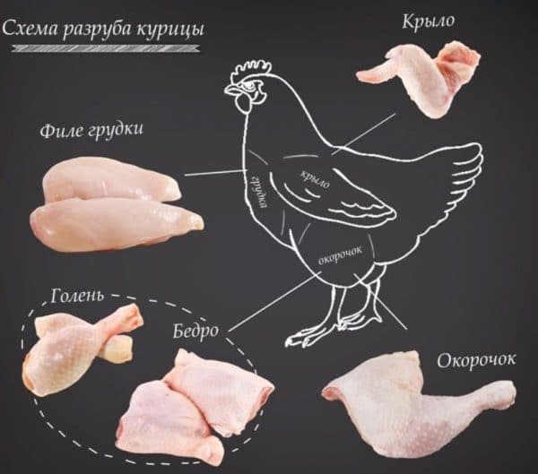 Как разделать тушку курицы