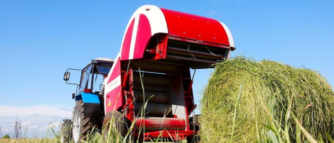Технология заготовки сенажа, сколько весит рулон или тюк сена