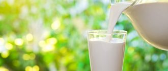 Лейкоз у коровы: Признаки болезни у КРС, можно ли пить молоко и есть мясо больных животных