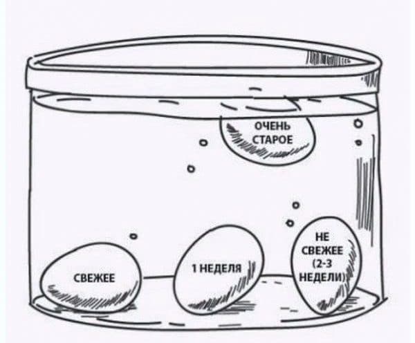 Как проверить свежесть яиц в воде