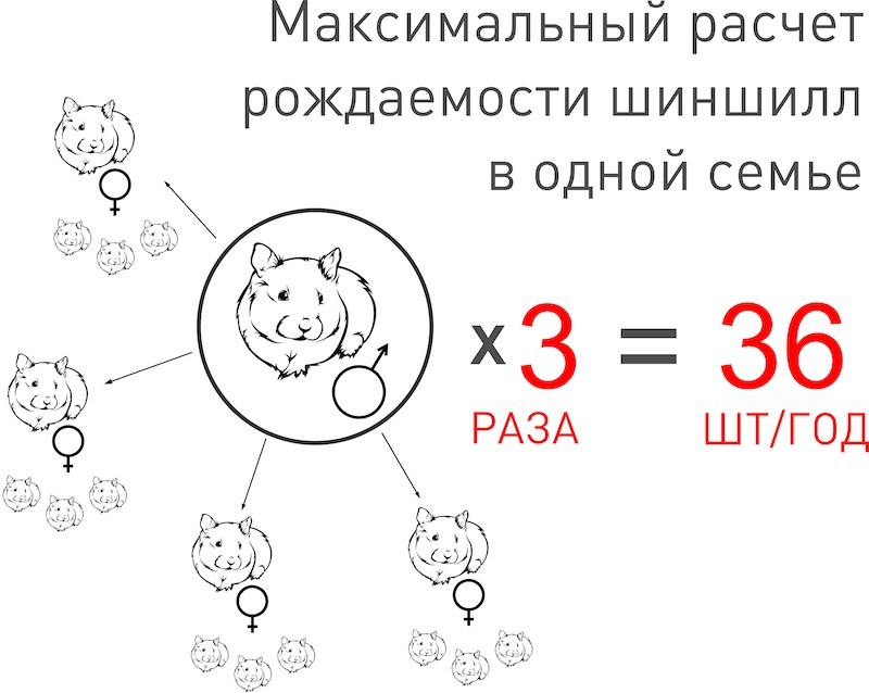 Проблемы разведения
