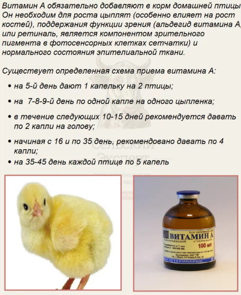 Витамин А для цыплят