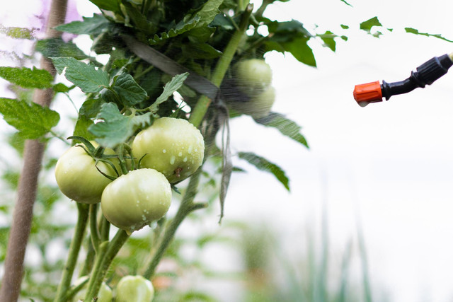 Как повысить урожай на домашней ферме: практические советы для огорода, теплицы и дачного участка